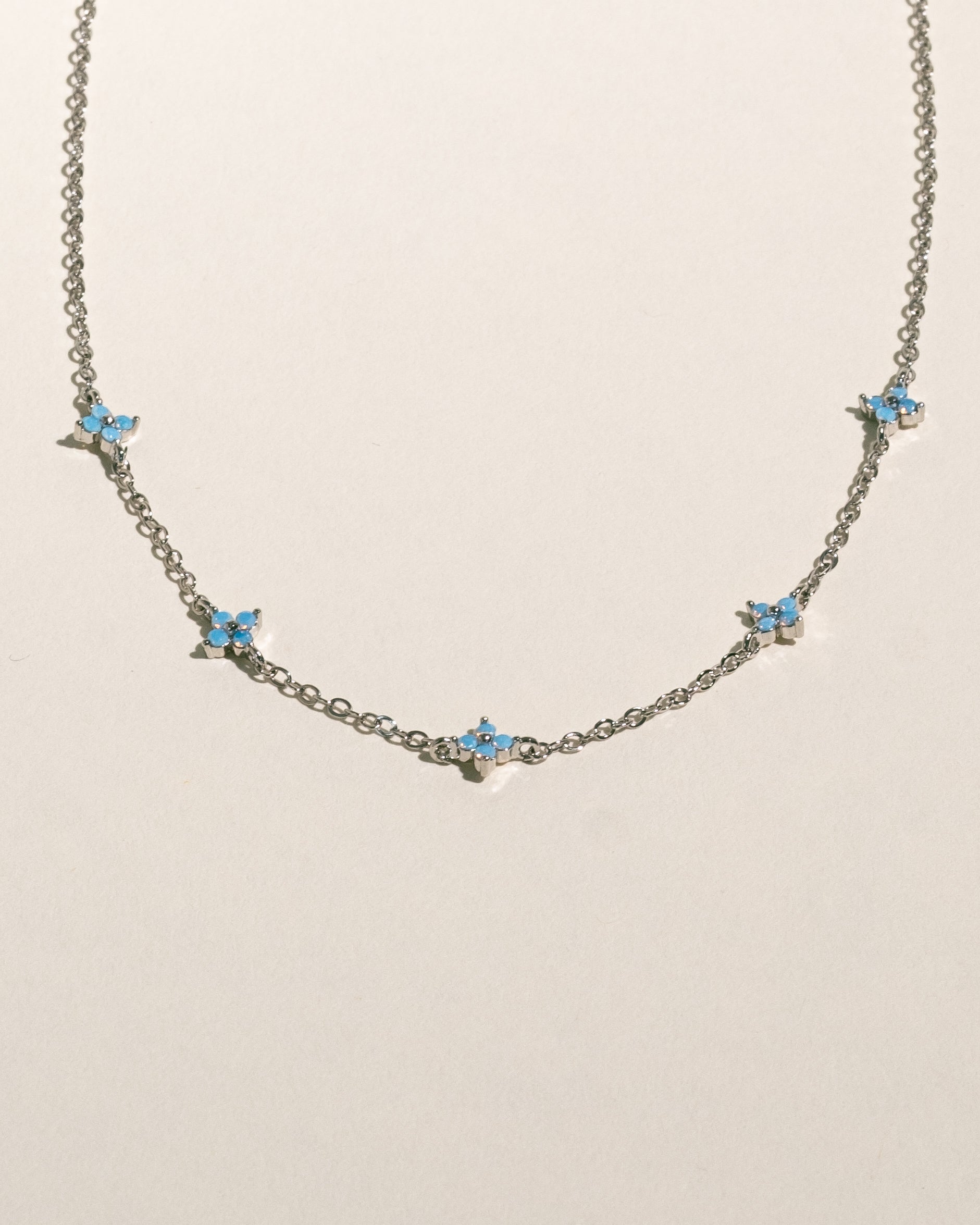 Myosotis