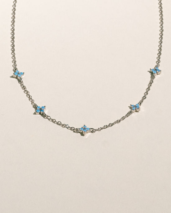 Myosotis