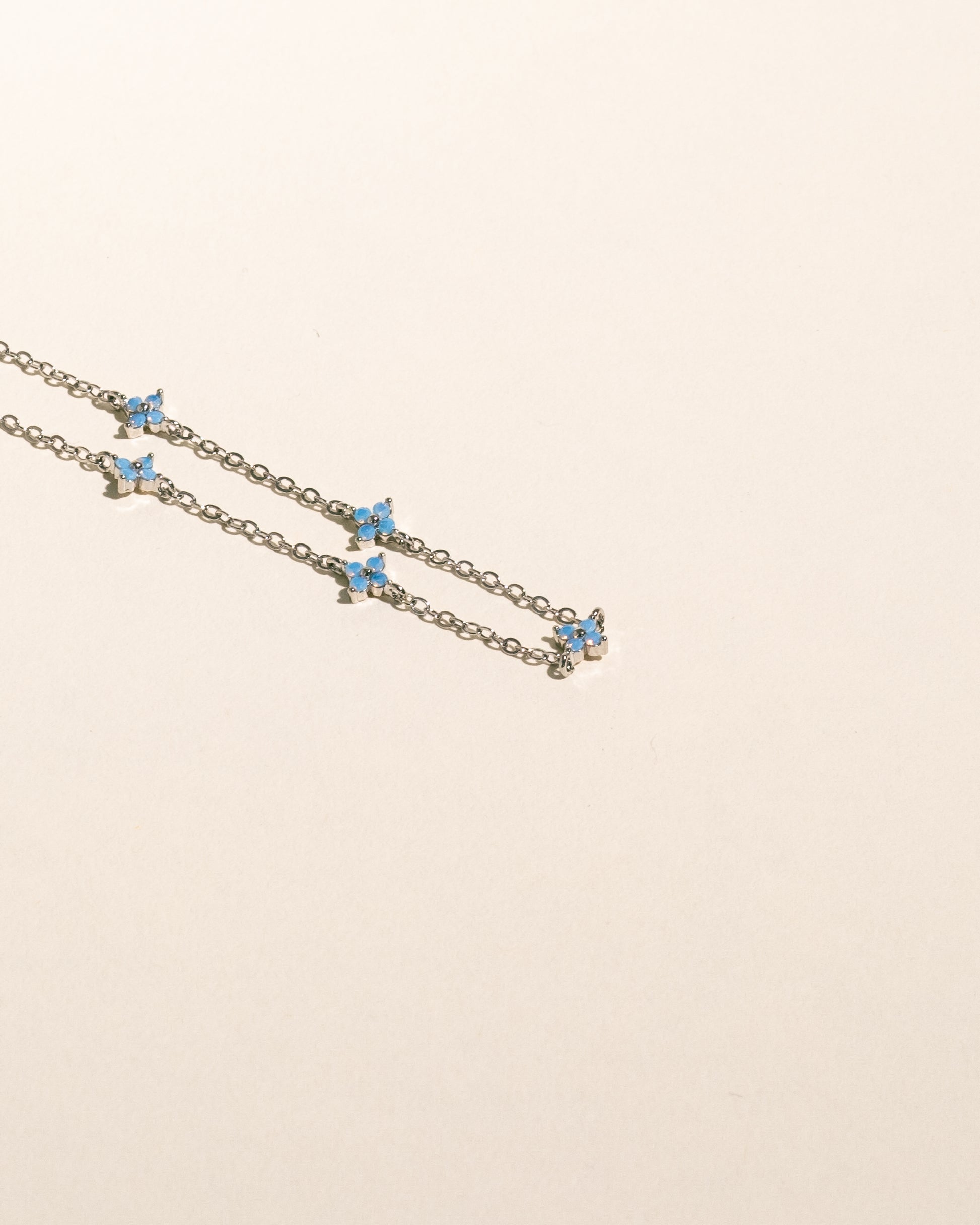 Myosotis