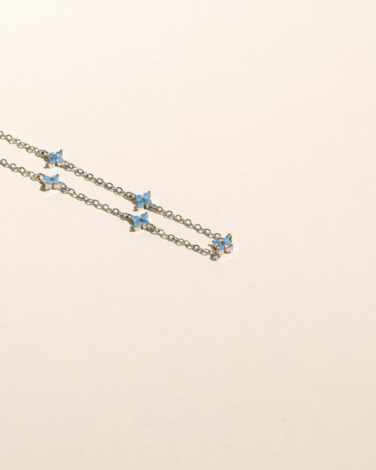 Myosotis