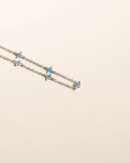 Myosotis
