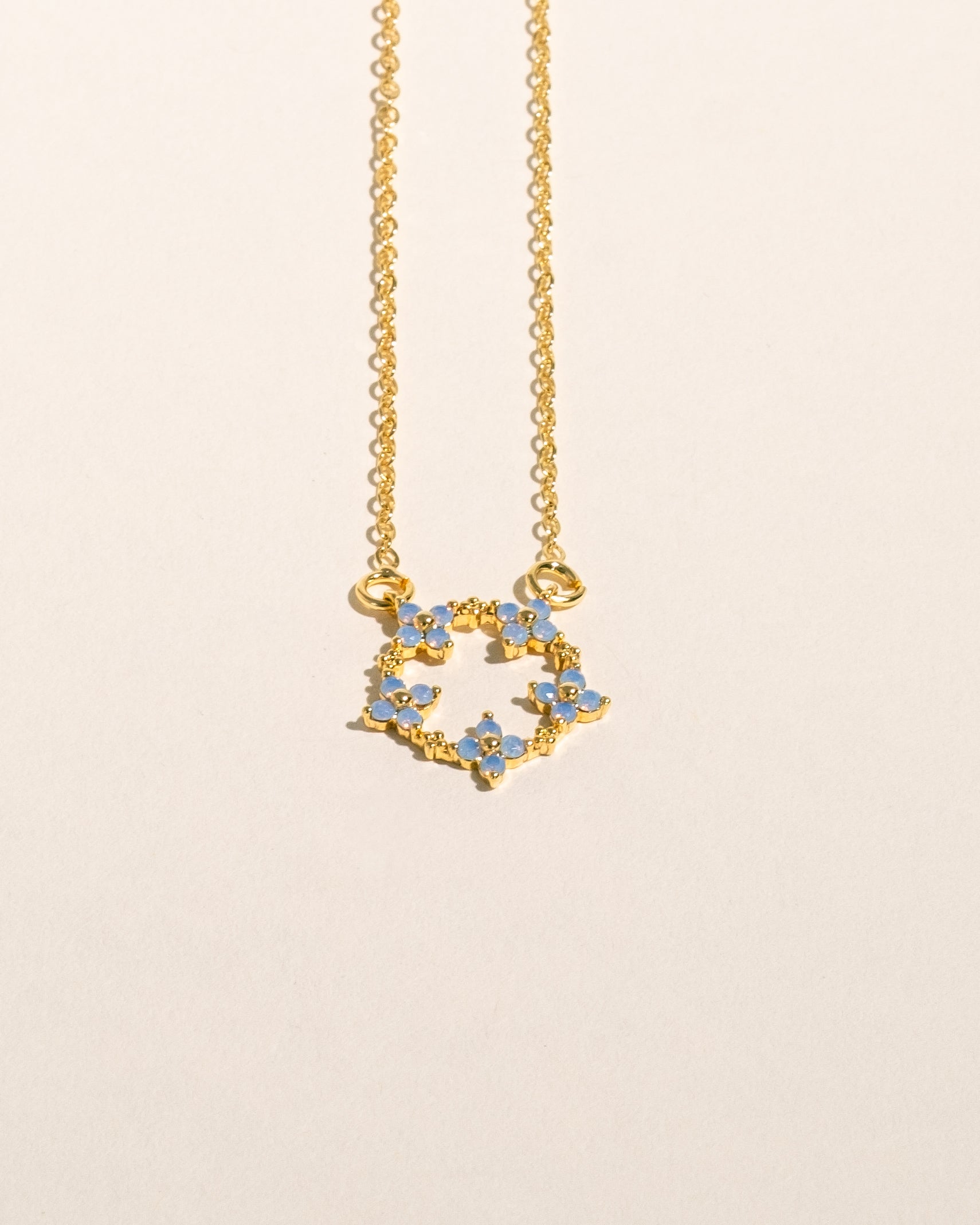 Myosotis circle
